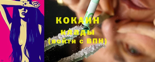 прущие крисы Новозыбков