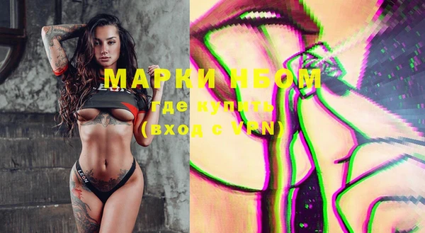 прущие крисы Новозыбков