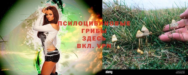 мескалин Новодвинск