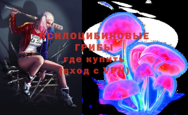 мескалин Новодвинск