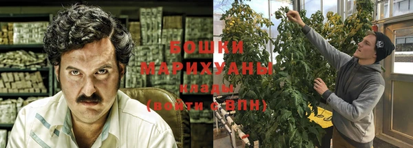 мескалин Новодвинск