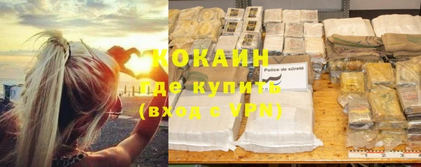 прущие крисы Новозыбков