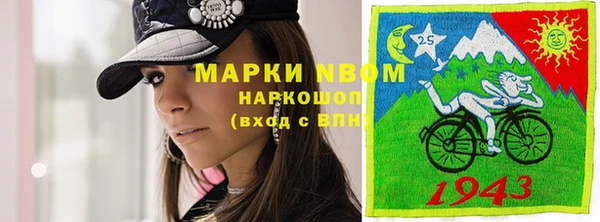 прущие крисы Новозыбков