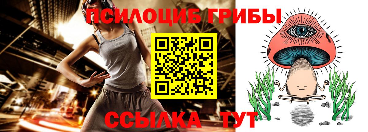 где можно купить наркотик  Ейск  Галлюциногенные грибы мицелий 